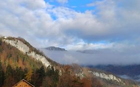 Goisererglück